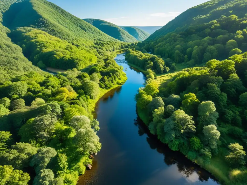 Comparativa TrueOS con otras distribuciones BSD: impresionante paisaje verde con colinas, bosques y cielo azul